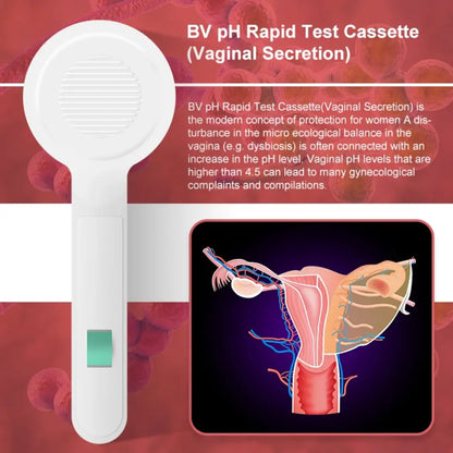 Bacterial Vaginosis (BV) Test Kit
